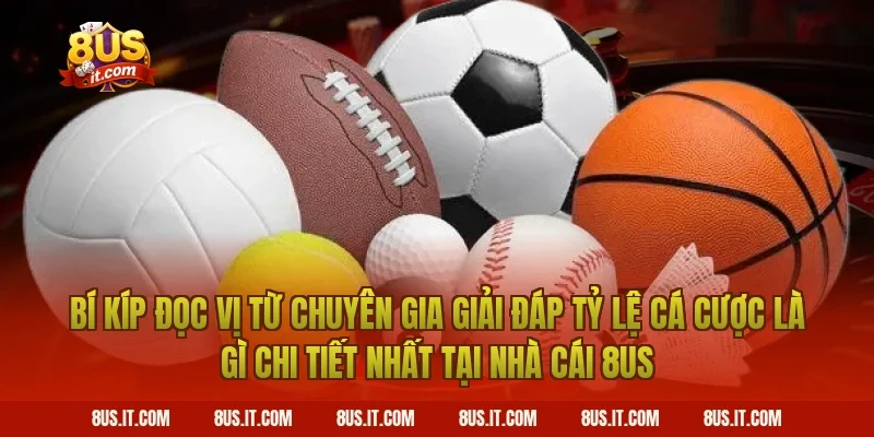 Bí Kíp Đọc Vị Từ Chuyên Gia Giải Đáp Tỷ Lệ Cá Cược Là Gì Chi Tiết Nhất Tại Nhà Cái 8US