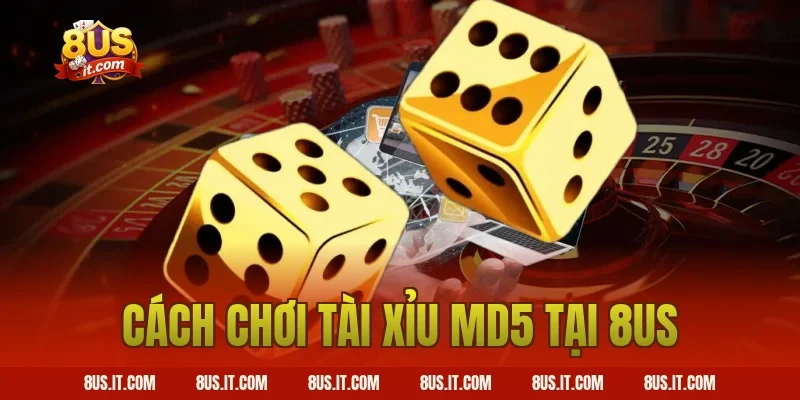 Cách Chơi Tài Xỉu MD5 Tại 8US