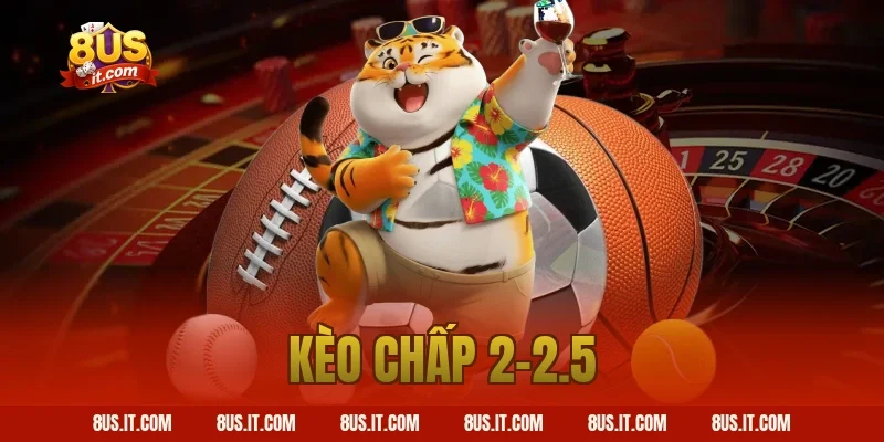 Kèo Chấp 2-2.5 Là Gì? Giải Mã Kèo 2 1/4 Tại Nhà Cái 8US